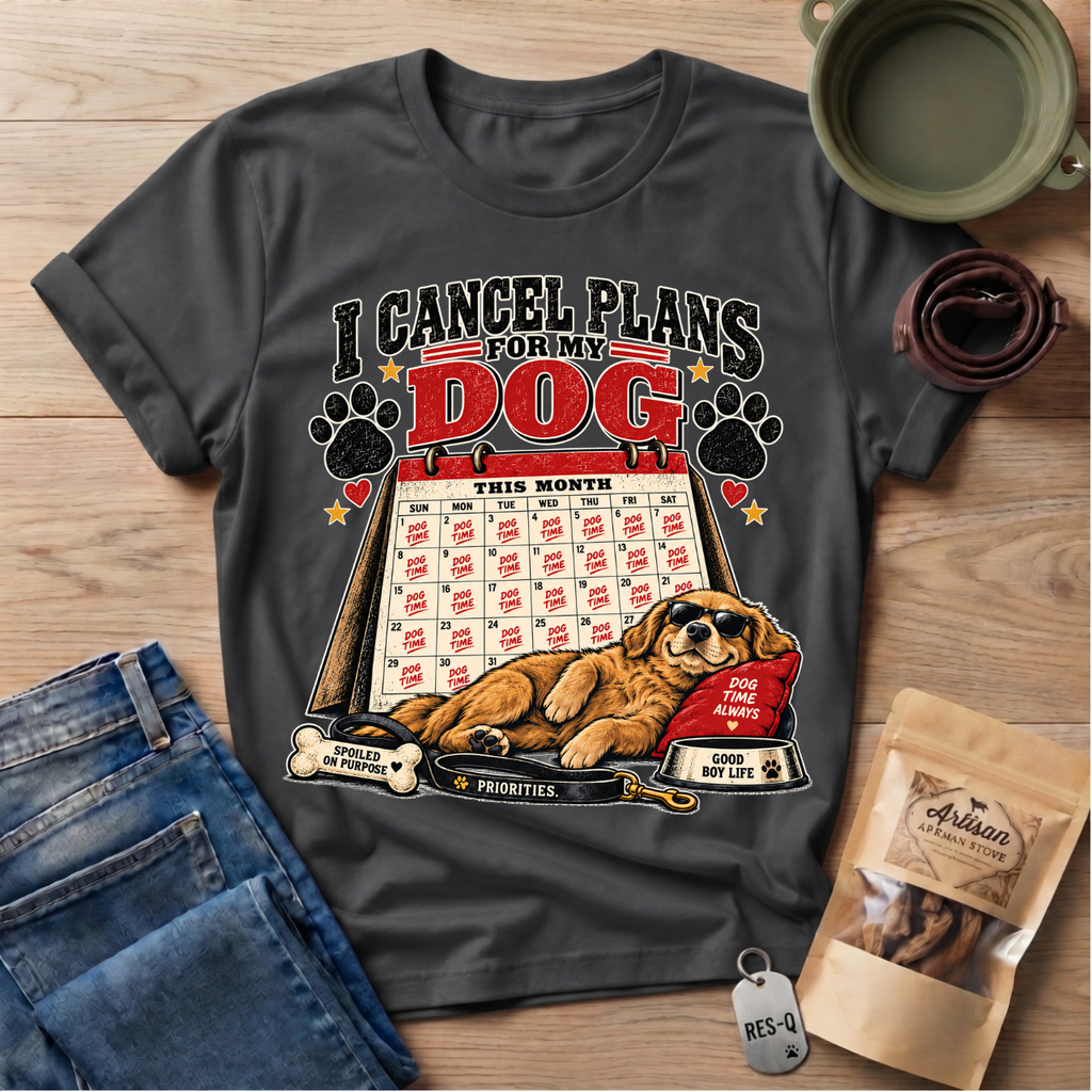 Cancel Plans T-Shirt